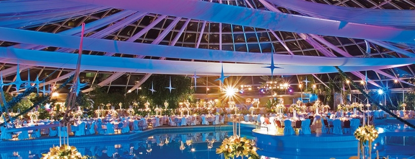 The Venue